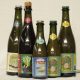 Cozalinda--1-