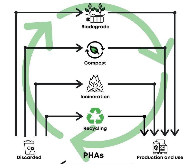 Milliken adere à GO!PHA para impulsionar uso de polímeros biodegradáveis