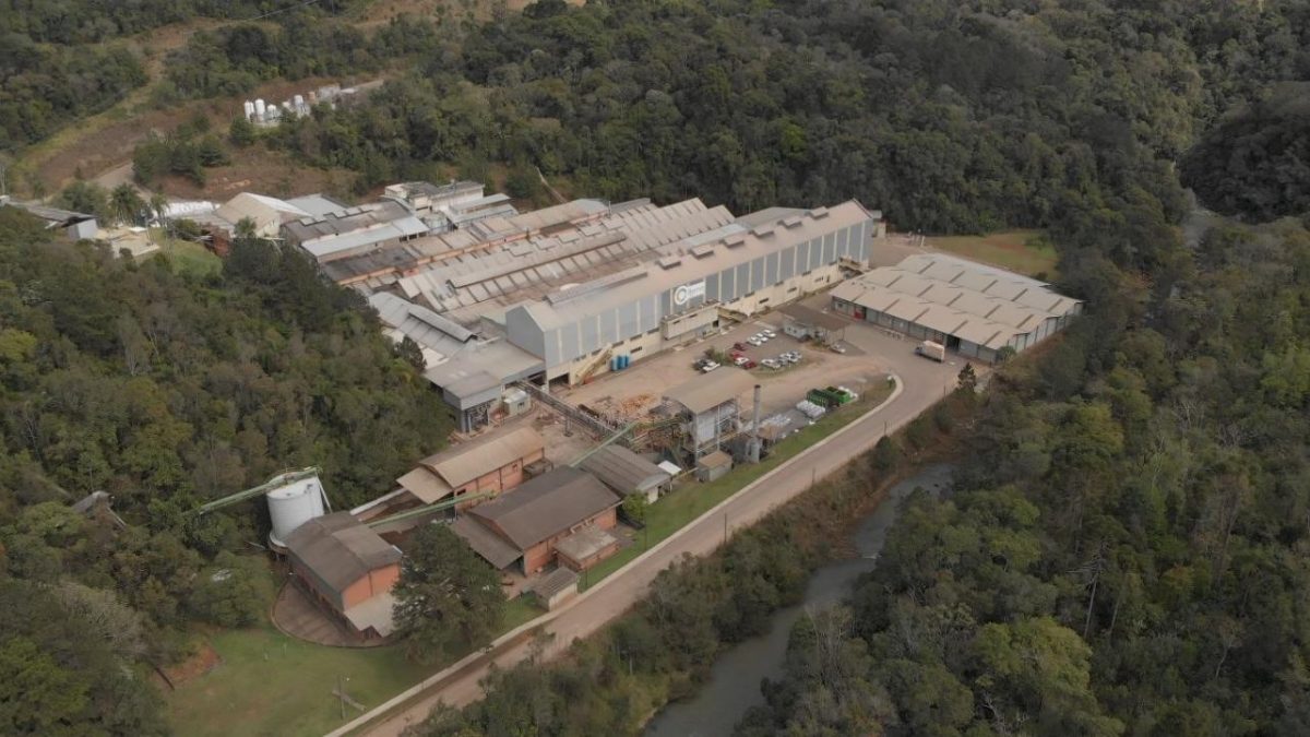 Com investimento de R$ 10mi, Ibema traz maior automação e novos equipamentos