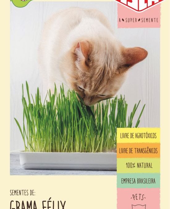 Graminha para gatos é a novidade da Isla Sementes