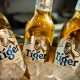 Heineken traz ao Brasil Tiger, uma de suas principais marcas globais