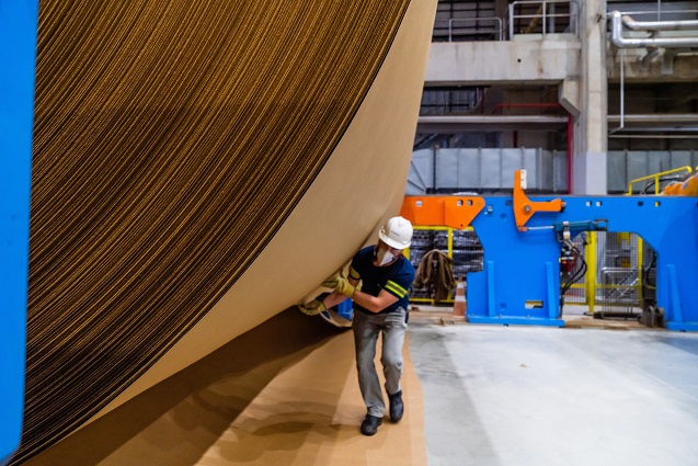Com investimento de R$ 1 bi, WestRock inaugura maior fábrica de papel kraft da América Latina