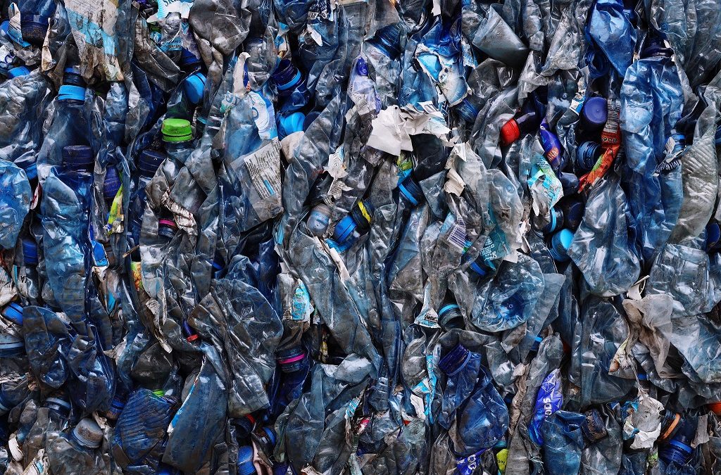 Avery Dennison amplia linha sustentável com lançamento de liner com conteúdo reciclado