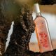 Quebra de paradigma: vinho de luxo em garrafa de plástico reciclado