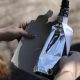 Embalagem “bag-in-bottle” de tequila usa 84% de material reciclado